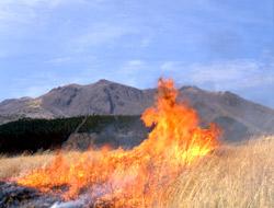 久住高原の草原に大きな炎があがっている野焼きの写真